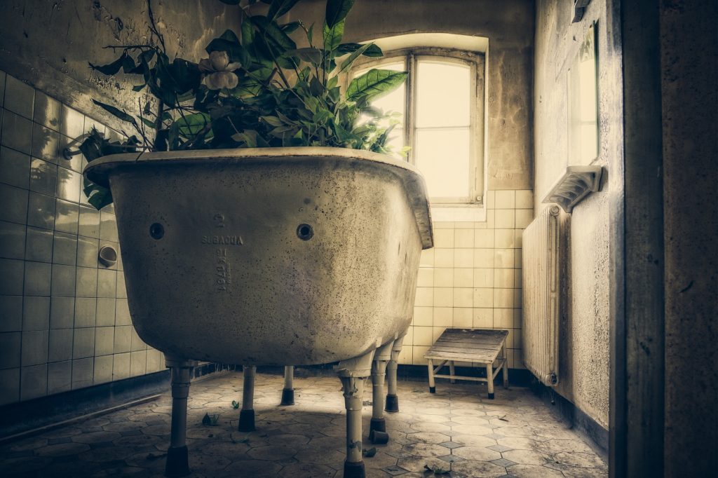 Gammelt bad med badekar med plante som gror i