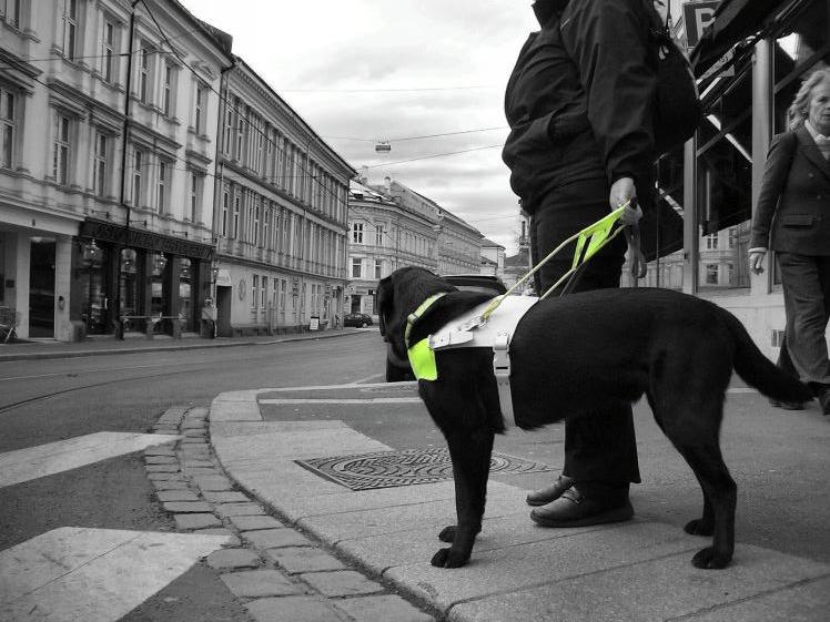 Svart/hvitt bilde av person med førerhund i bygate